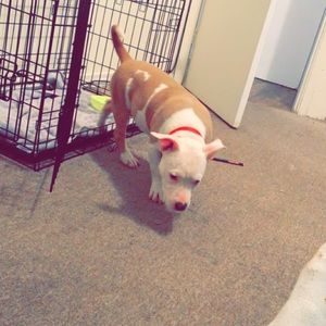 Meet your Posher, Devante